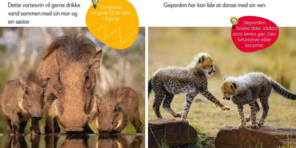 Aktivitetskuffert - Vilde dyr|Børn Sprog & Leg|Legetøj Til Ferien