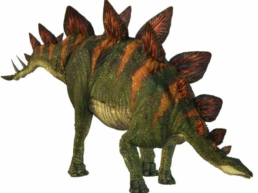 Brainstorm Dias med dinosaur| Legetøj Til Ferien|Dinosaur Legetøj