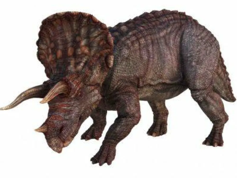 Brainstorm Dias med dinosaur| Legetøj Til Ferien|Dinosaur Legetøj