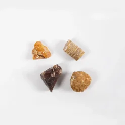 Forskerkit D - Naturfag| Naturvidenskab|Eksperimenter