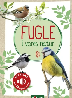 Forlaget Bolden Fugle i vores natur|Børn Naturvidenskab|Insekt & Naturleg
