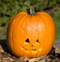 Græskar skæresæt m. 3 dele| Halloween