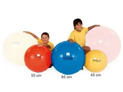 Gymnastikbold 55cm rød| Sportslegetøj & Gøgl|Sansemotorisk Legetøj