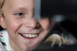 4M Hologramprojektor| Stem Læringslegetøj