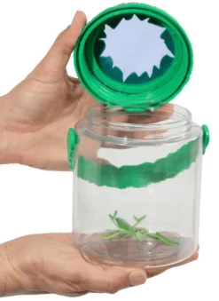 InsectLore Insektglas m. net i låget - Ø10,5 cm| Insekt & Naturleg