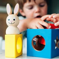 Logikspil til de mindste - Bunny Boo| Vis Alle Varer (Særlige Behov)|Logik & Talforståelse