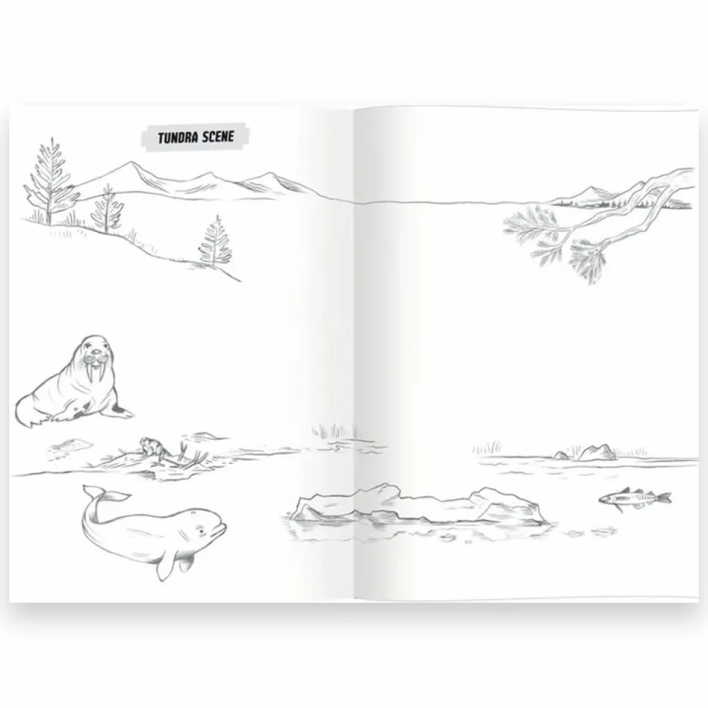 eeBoo Lær at tegne - Vilde dyr| Tegne- & Malegrej