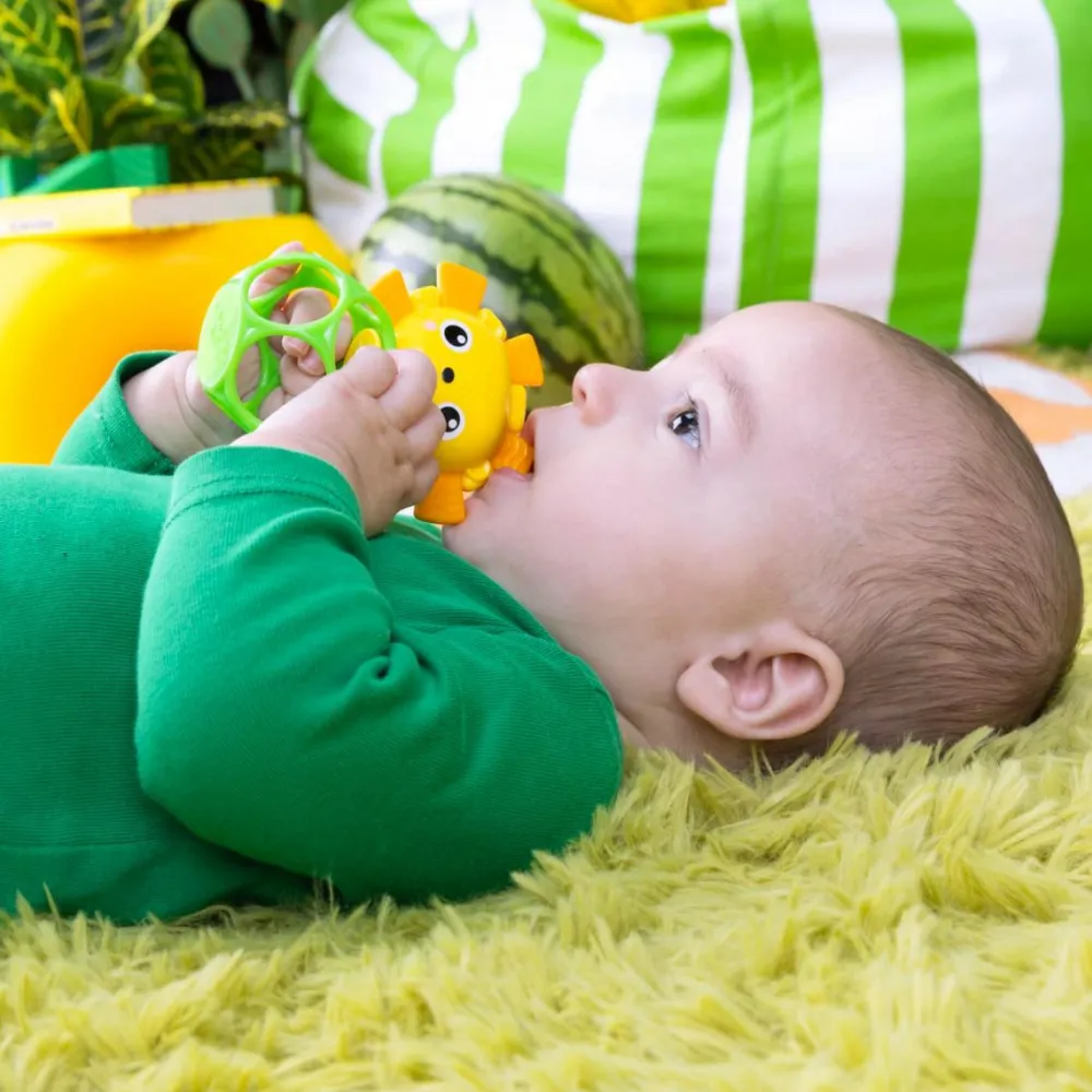 Bright Starts Oball bideringe, 2 stk| Bolde|Babylegetøj