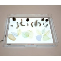 tickit® Transparent bakke til lyspanel A3| Taktil / Følesans|Finmotorik