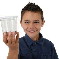 InsectLore Voucher til refill - Sommerfuglelarver, 5 stk.| Naturvidenskab